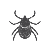 Tick