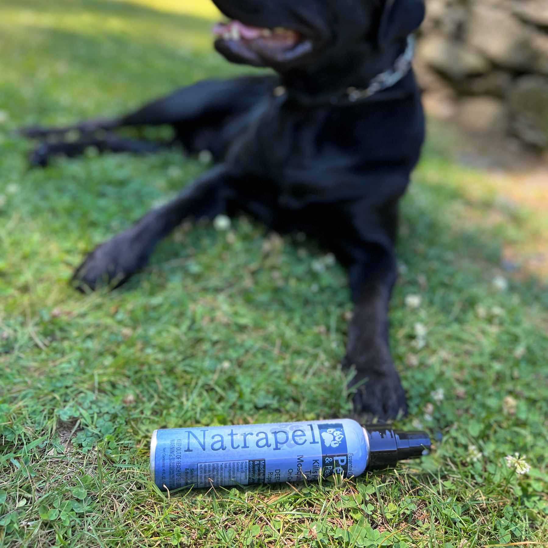 Natrapel Pets and People pictures on grass in front of a black dog