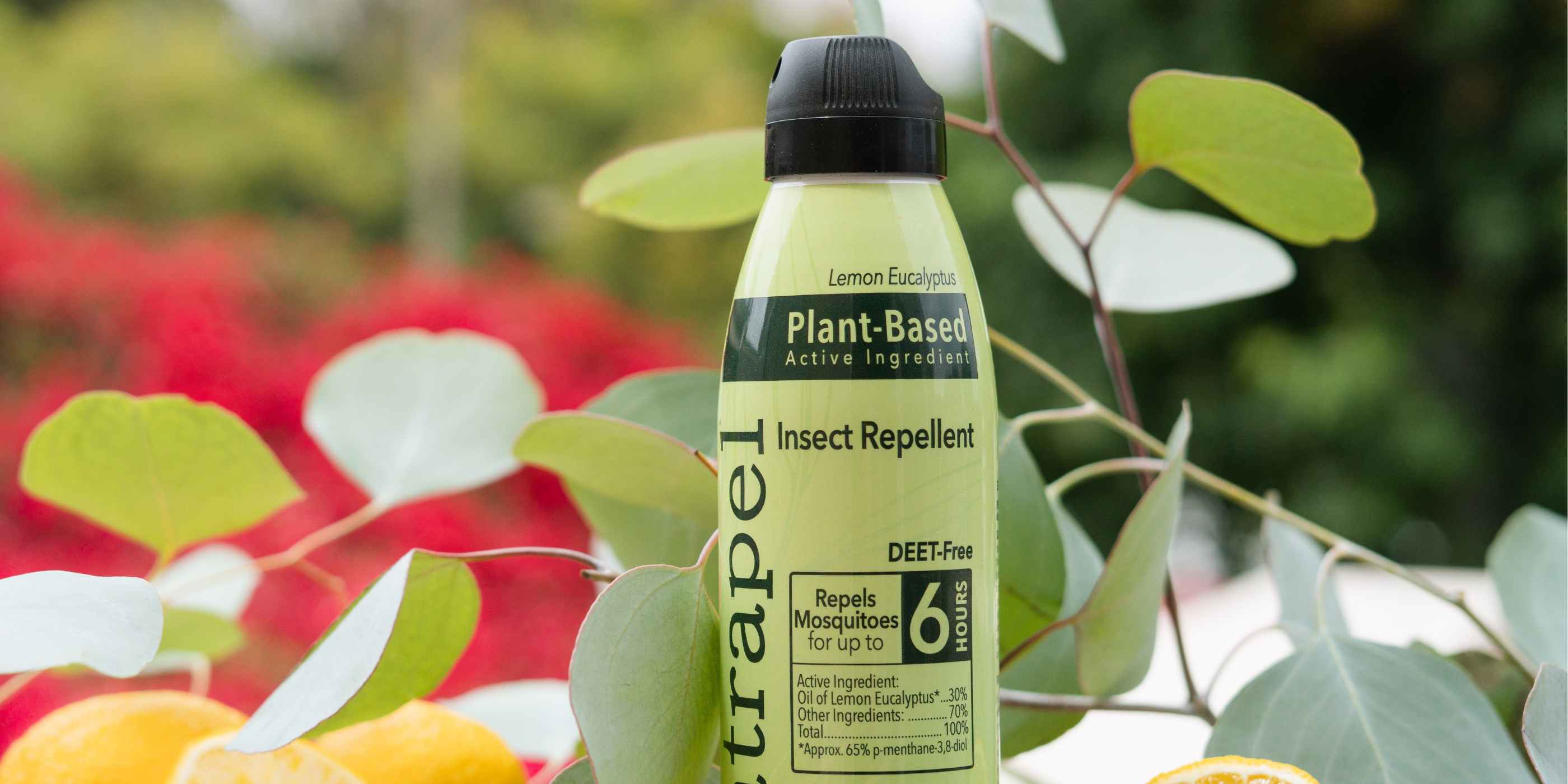 Natrapel Lemon Eucalyptus Plant Based Insect Repellent 6 oz. placed in front of lemons and eucalyptus leaves